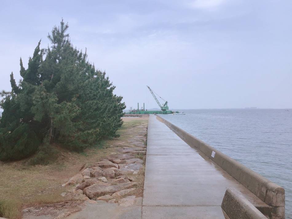 海にクレーンが