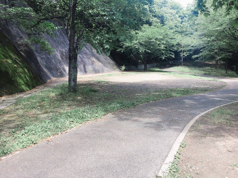 散歩コース