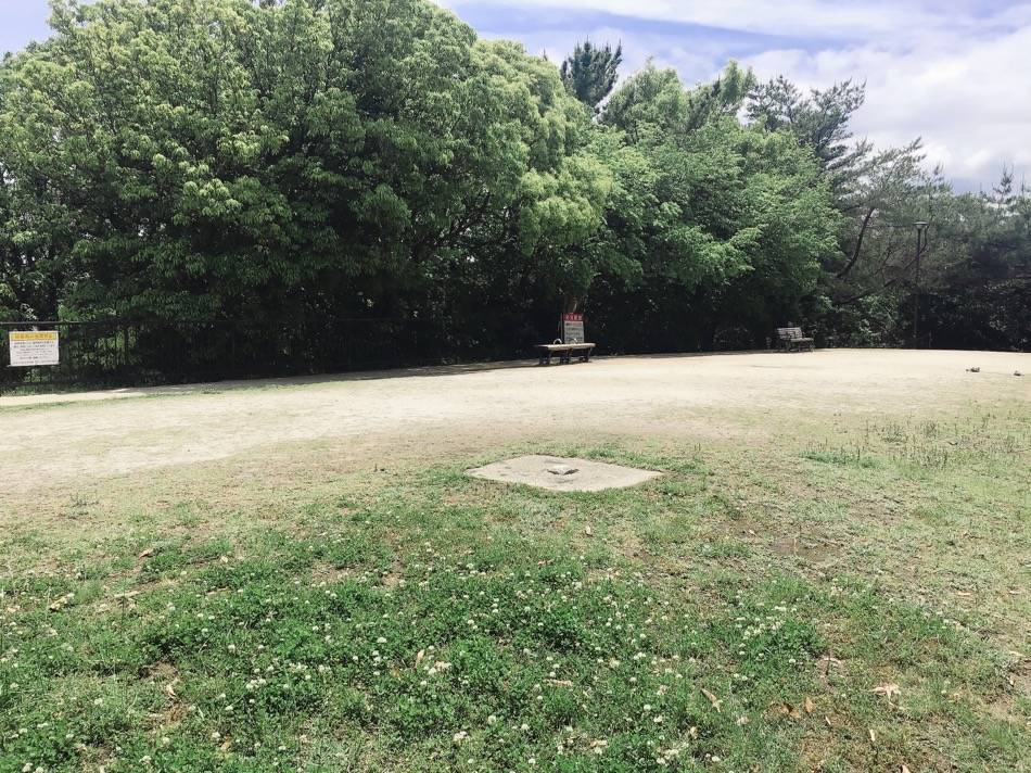 頂上のはベンチが数台