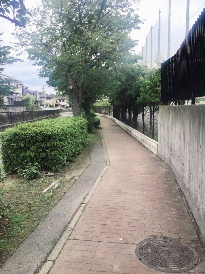 城南あいさつ通りの歩道