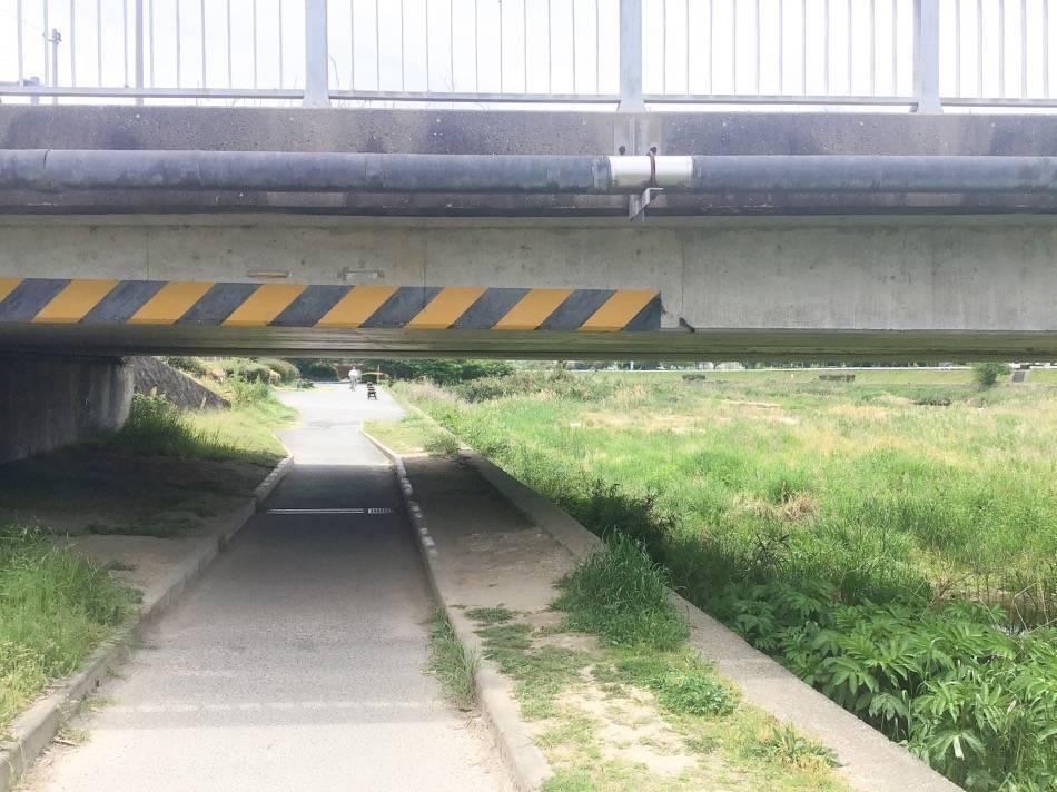 橋本橋