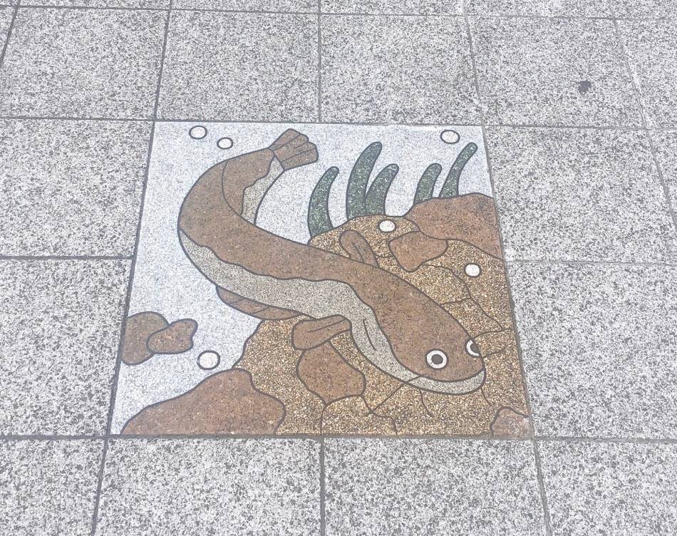 うなぎ？