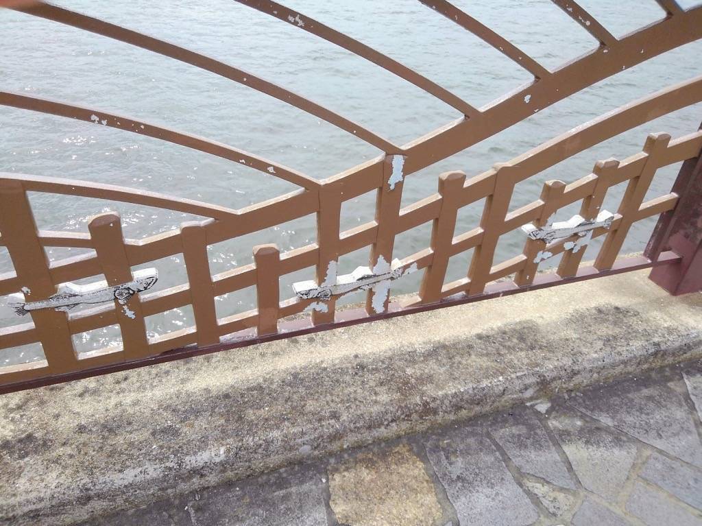 愛宕大橋の欄干のしろうお