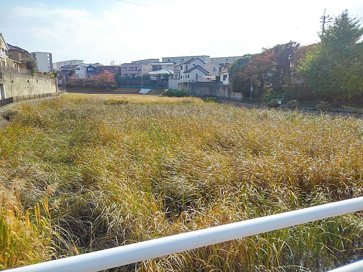 f:id:darakekaasan:20211213220237j:plain
