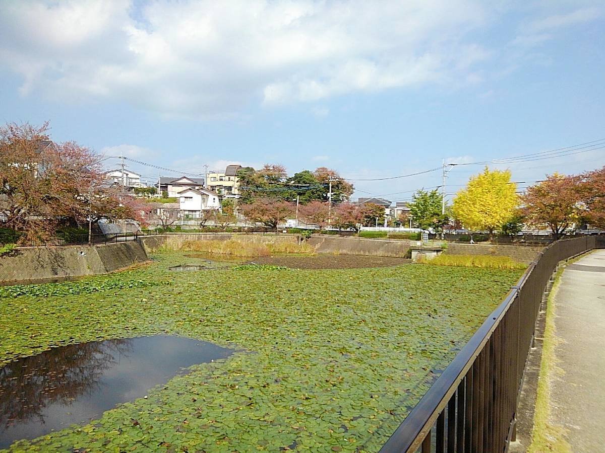 f:id:darakekaasan:20211213220533j:plain