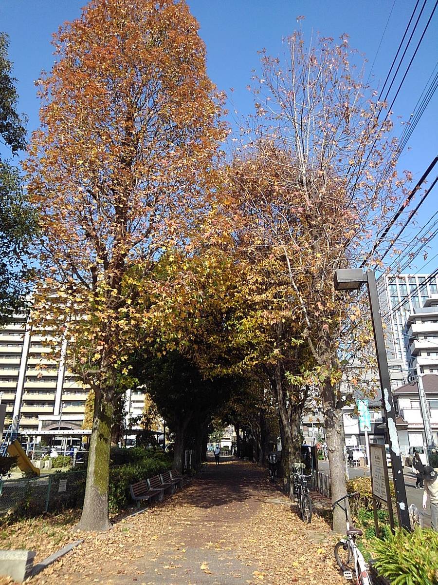 f:id:darakekaasan:20220403123251j:plain