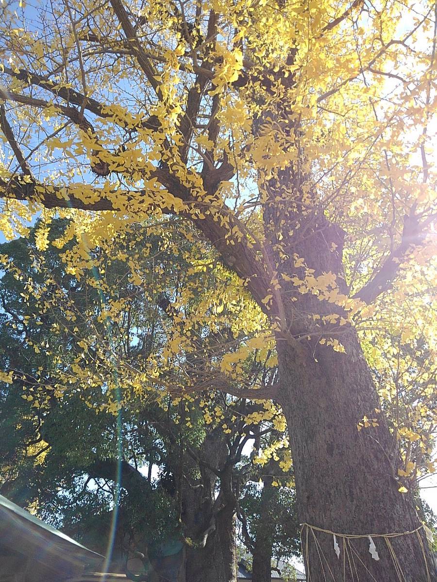 f:id:darakekaasan:20220403123537j:plain