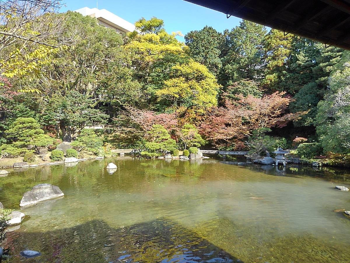 f:id:darakekaasan:20220403124911j:plain