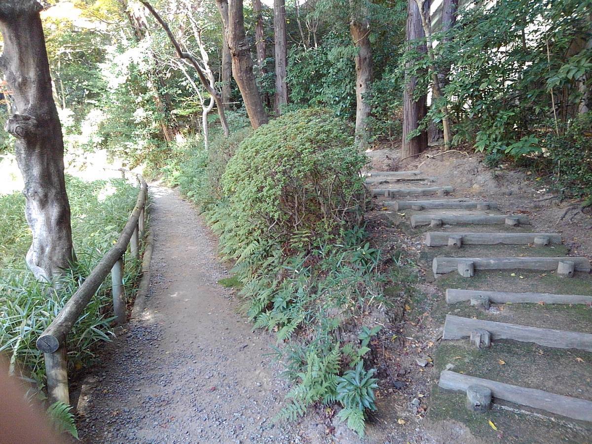 f:id:darakekaasan:20220403125052j:plain