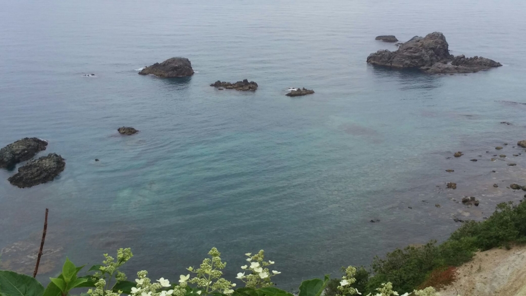 f:id:dararinchan:20180726144119j:plain f:id:dararinchan:20180726144119j:plain