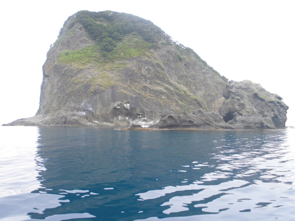f:id:dararinchan:20180726150852j:plain f:id:dararinchan:20180726150852j:plain
