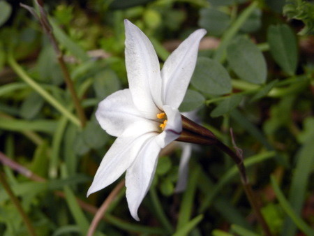 f:id:darchtn:20100404093737j:image