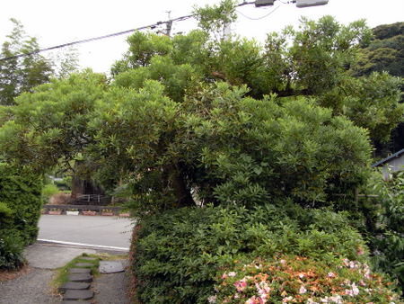 f:id:darchtn:20100613140535j:image f:id:darchtn:20100613140535j:image