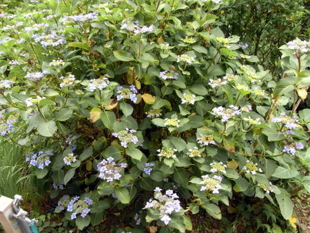 f:id:darchtn:20100613140651j:image f:id:darchtn:20100613140651j:image