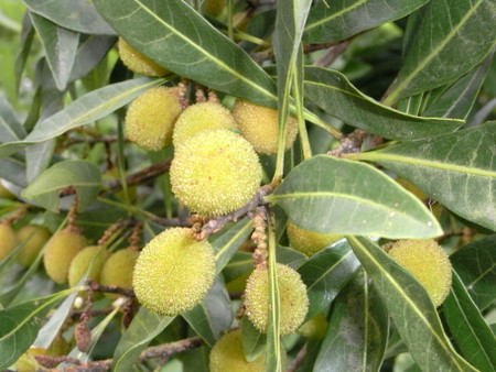 f:id:darchtn:20100613141319j:image f:id:darchtn:20100613141319j:image