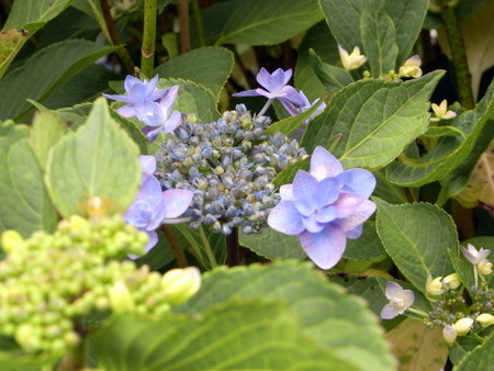 f:id:darchtn:20100613141459j:image f:id:darchtn:20100613141459j:image