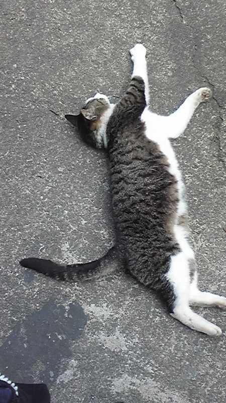 f:id:dareka-backroom:20110625124307j:image