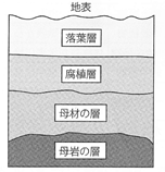 生物基礎 第４章 植生の多様性と分布 光合成曲線 植生の遷移 高校生物をまとめてみる