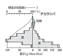 f:id:darie1228:20170109171758p:plain