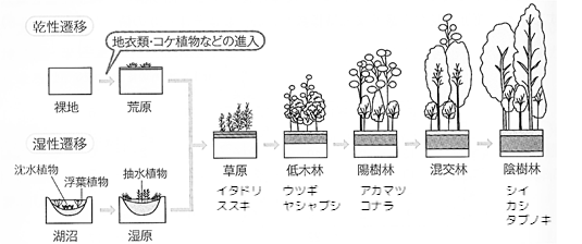 f:id:darie1228:20170109171906p:plain