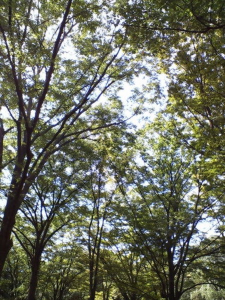 f:id:darienonikki:20060924154344j:image