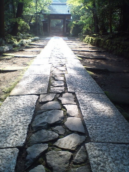 f:id:darienonikki:20070730214030j:image