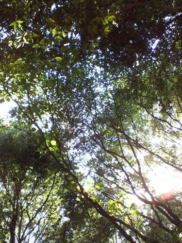 f:id:darienonikki:20070924231336j:image