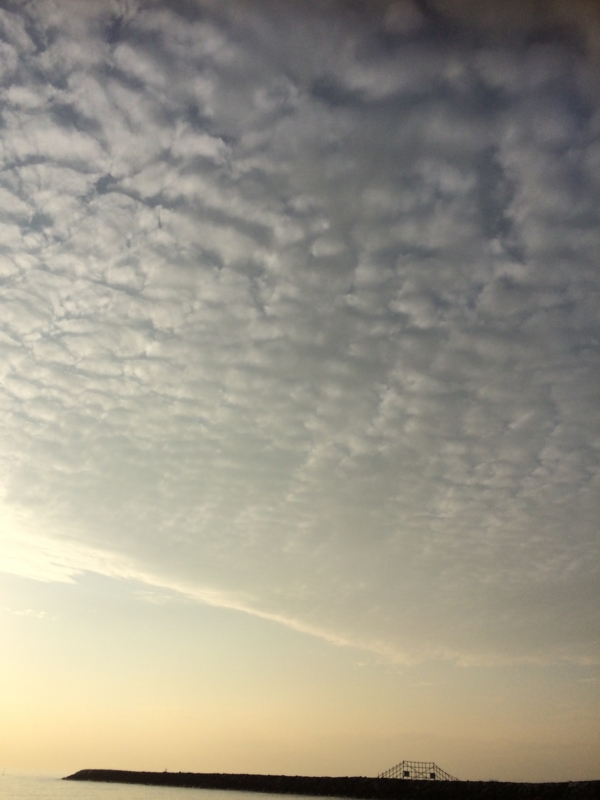 f:id:darienonikki:20151215152841j:image:right