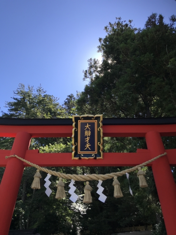 f:id:darienonikki:20180721091937j:image