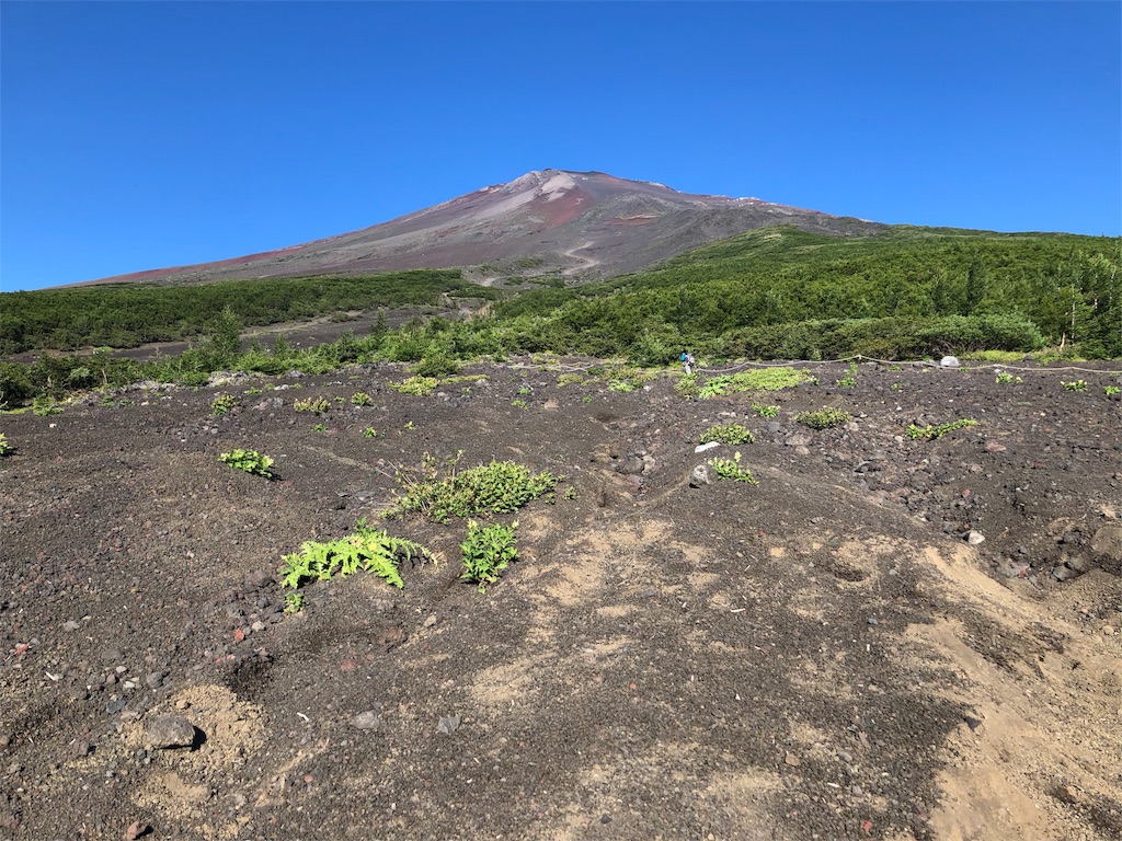 f:id:daringdaddy:20180721203246j:image f:id:daringdaddy:20180721203246j:image