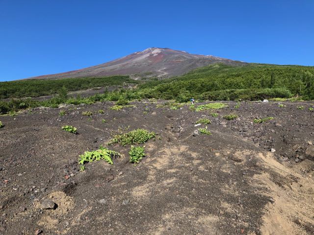 f:id:daringdaddy:20180724001122j:plain