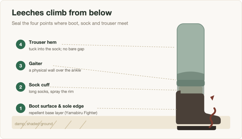 Diagram: leeches climb from below — seal four points (boot surface, sock cuff, gaiter, trouser hem)