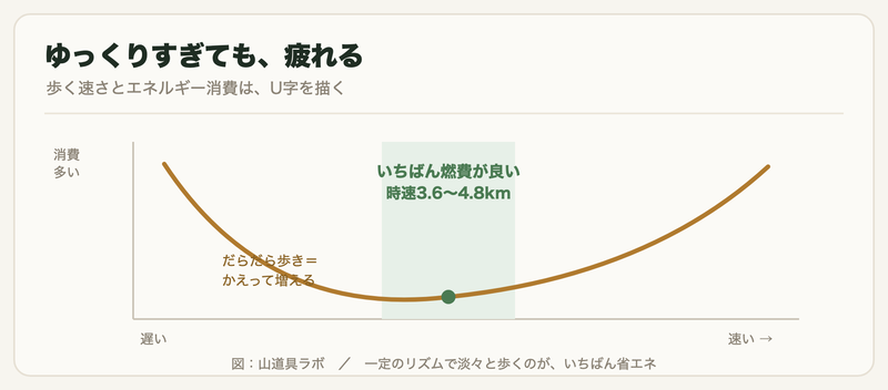 歩く速さとエネルギー消費の関係を示すU字カーブ。時速3.6〜4.8kmで最小になり、遅すぎても速すぎても増える