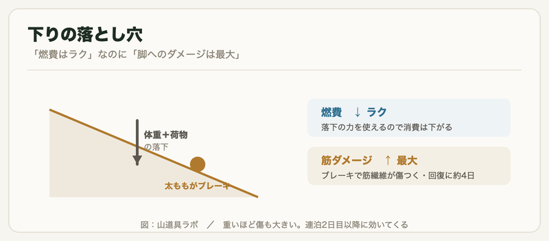 下り坂で体重と荷物の落下を太ももがブレーキとして受け止め、燃費は下がるが筋ダメージは最大になることを示す図