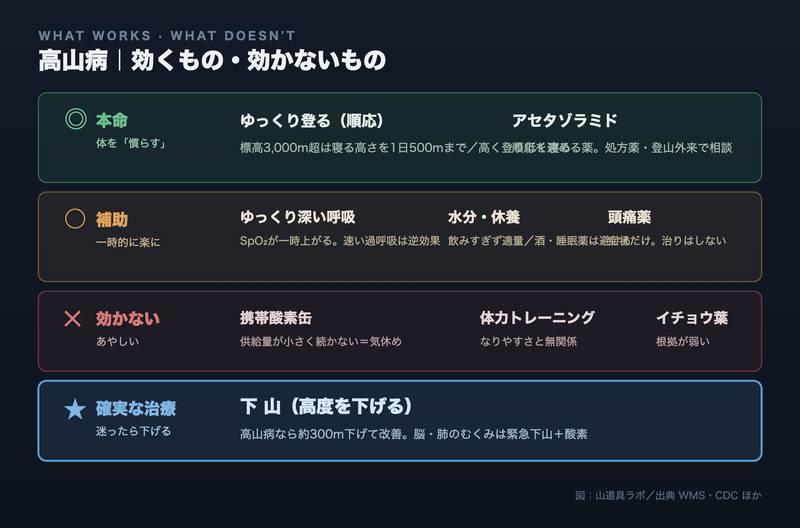高山病に効くもの・効かないものを4段で整理した図。本命＝ゆっくり登る順応とアセタゾラミド、補助＝ゆっくり深い呼吸・水分休養・頭痛薬、効かない＝携帯酸素缶・体力トレーニング・イチョウ葉、確実な治療＝下山