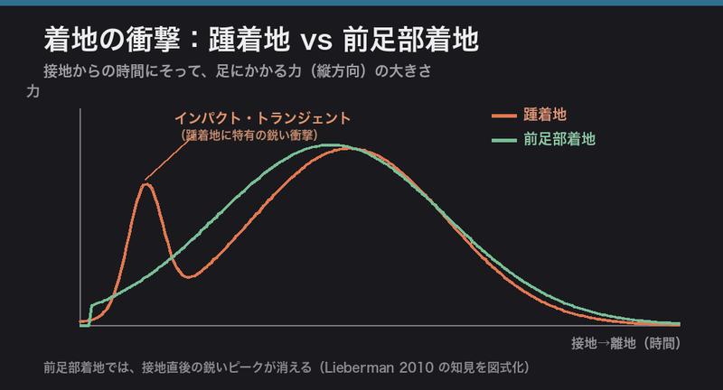 踵着地と前足部着地の衝撃波形の違い