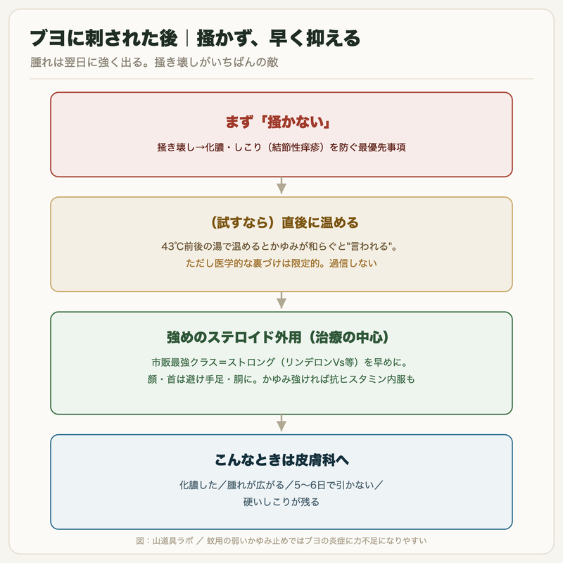 ブヨに刺された後の対処フロー：掻かない、冷やすか温める、強めのステロイド外用、化膿や長引くなら受診