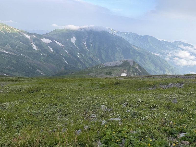 稜線上の草地と、点在する高山植物