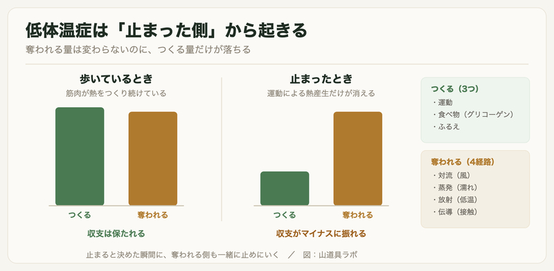 歩いているときは熱をつくる量と奪われる量が拮抗するが、止まると運動による熱産生だけが落ち、奪われる量は変わらないため収支がマイナスに振れる