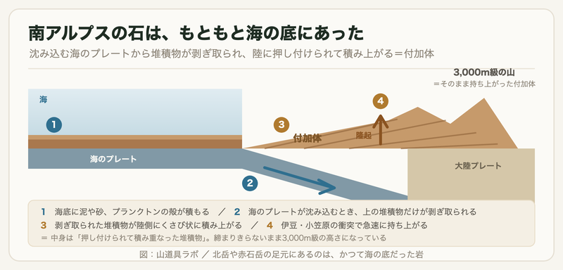 海底に積もった堆積物が、沈み込む海のプレートから剥ぎ取られ、陸側にくさび状に積み上がって付加体となり、そのまま隆起して3000m級の山になる過程を示した断面図