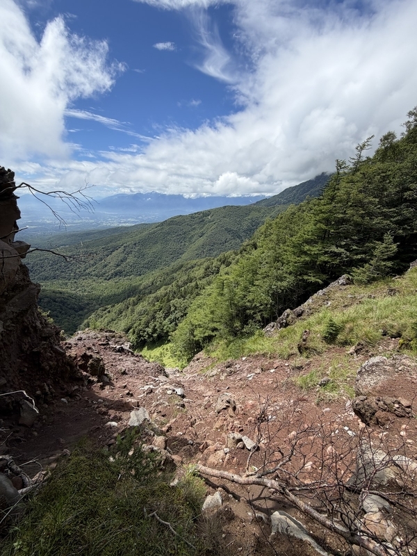 真教寺尾根の樹林帯から見上げた青空と雲、右手に伸びる緑の斜面
