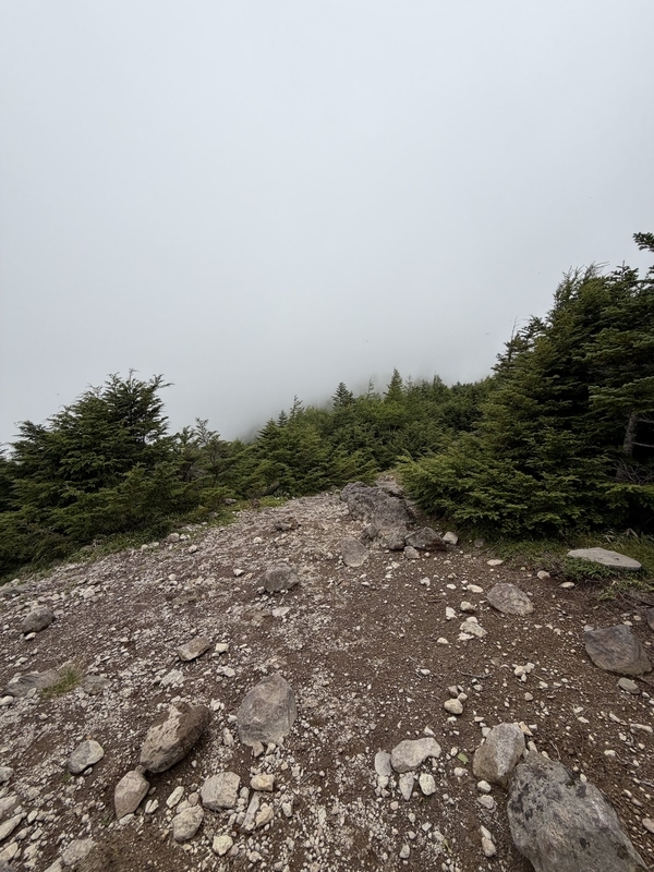 県界尾根の下部。ハイマツと砂礫の登山道の先が、再び真っ白なガスに閉ざされている