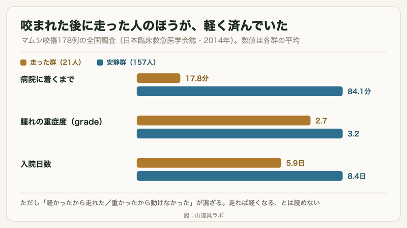 マムシ咬傷178例の全国調査：走った群と安静群の来院時間・腫れの重症度・入院日数の比較