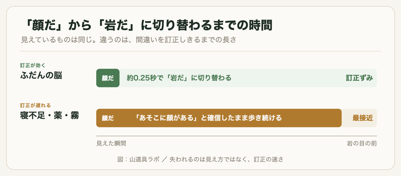 ふだんの脳は約0.25秒で「顔だ」から「岩だ」へ切り替わるのに対し、寝不足・薬・霧の条件では最接近まで切り替わらないことを示した図