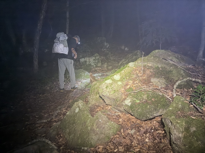 ヘッドランプの光の中に浮かぶ苔むした岩と、先を行く登山者の背中