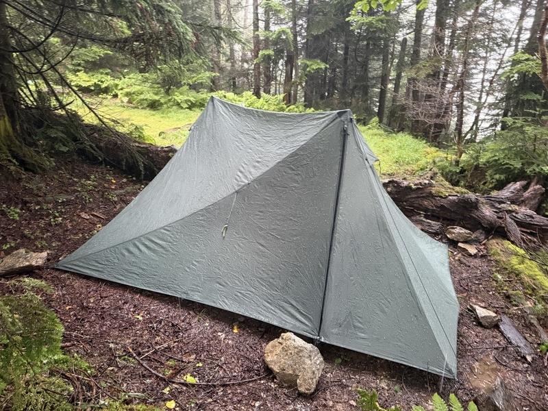 夕方の千枚小屋テント場。濡れた林の中のテント