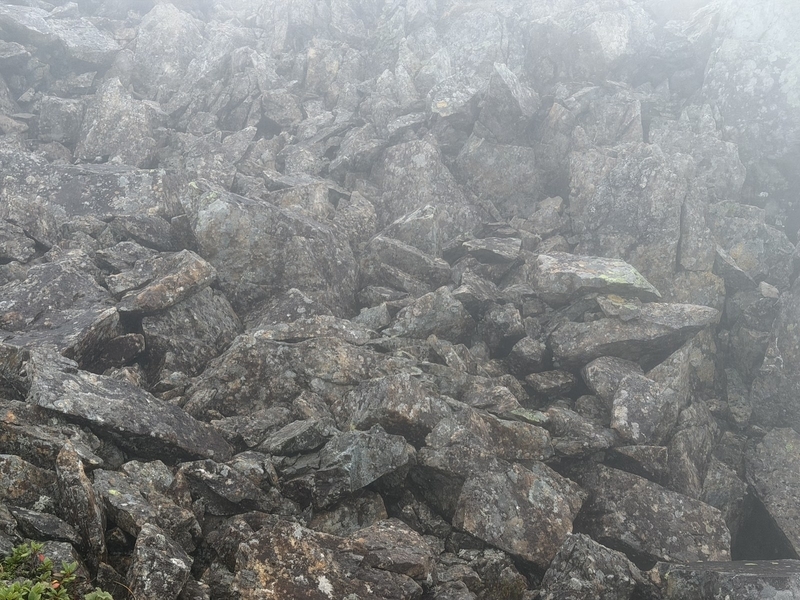小赤石岳への登りの岩塊帯。濡れた岩が積み重なっている