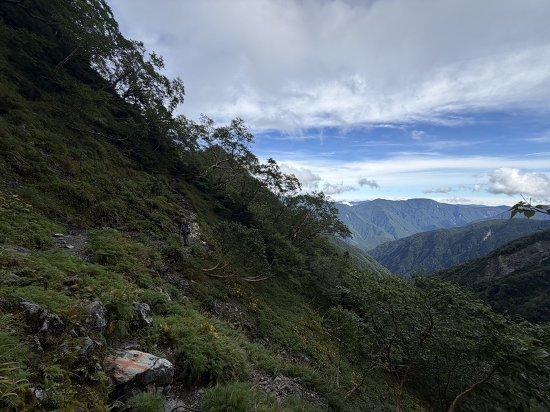 樹林の斜面から見下ろした谷と、青空の下の山並み