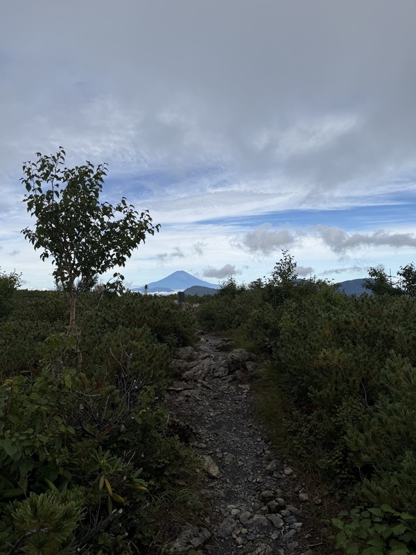 登山道の先、木々の間に富士山の頂が見える