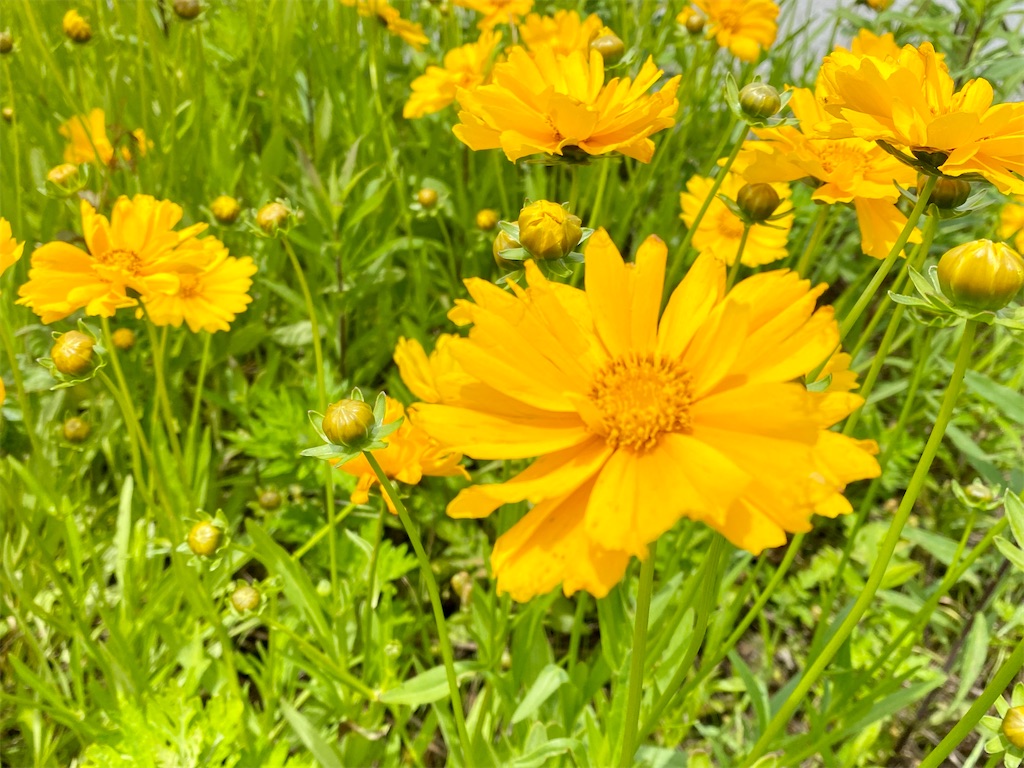 f:id:darivitsh:20210601181104j:image f:id:darivitsh:20210601181104j:image